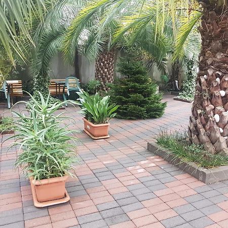 Guesthouse 97 In Batumi 바투미 외부 사진