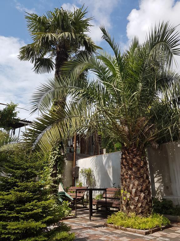 Guesthouse 97 In Batumi 바투미 외부 사진